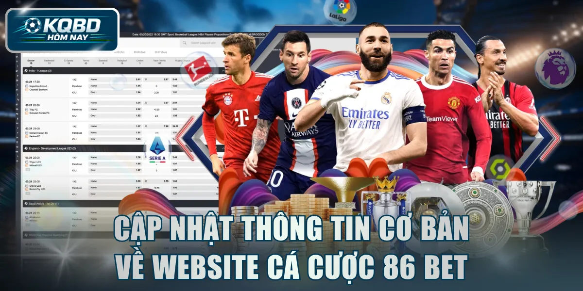 Cập nhật thông tin cơ bản về website cá cược 86 BET