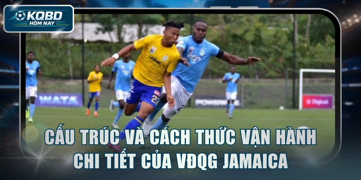 Cấu trúc và cách thức vận hành chi tiết của VĐQG Jamaica