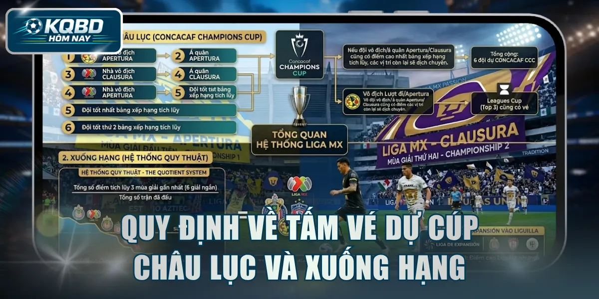 Quy định về tấm vé dự cúp châu lục và xuống hạng