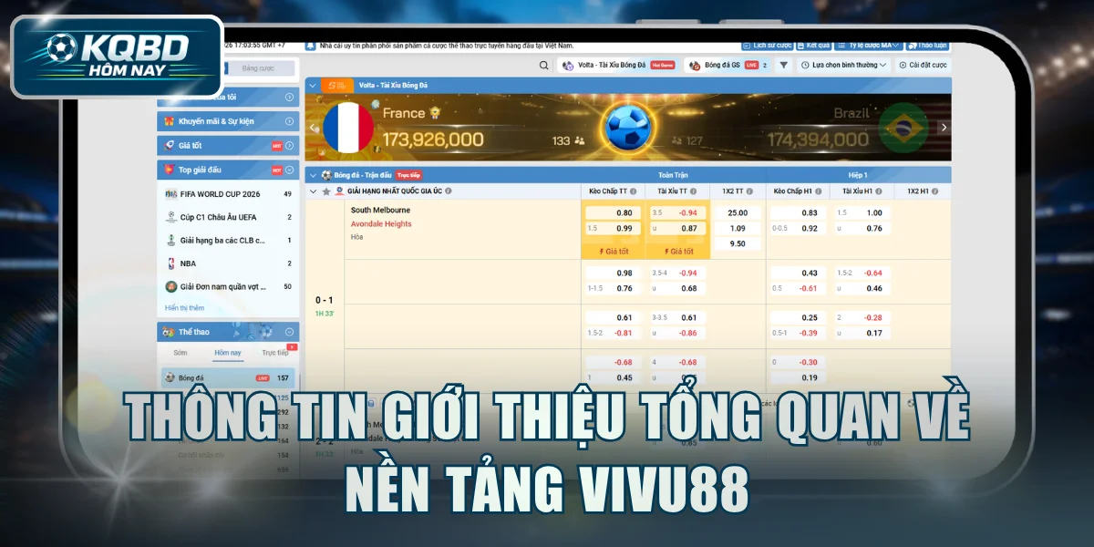 Thông tin giới thiệu tổng quan về nền tảng VIVU88