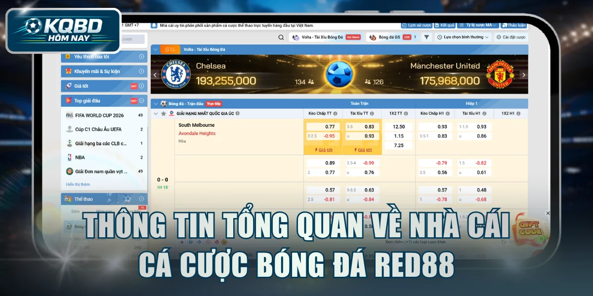 Thông tin tổng quan về nhà cái cá cược bóng đá RED88