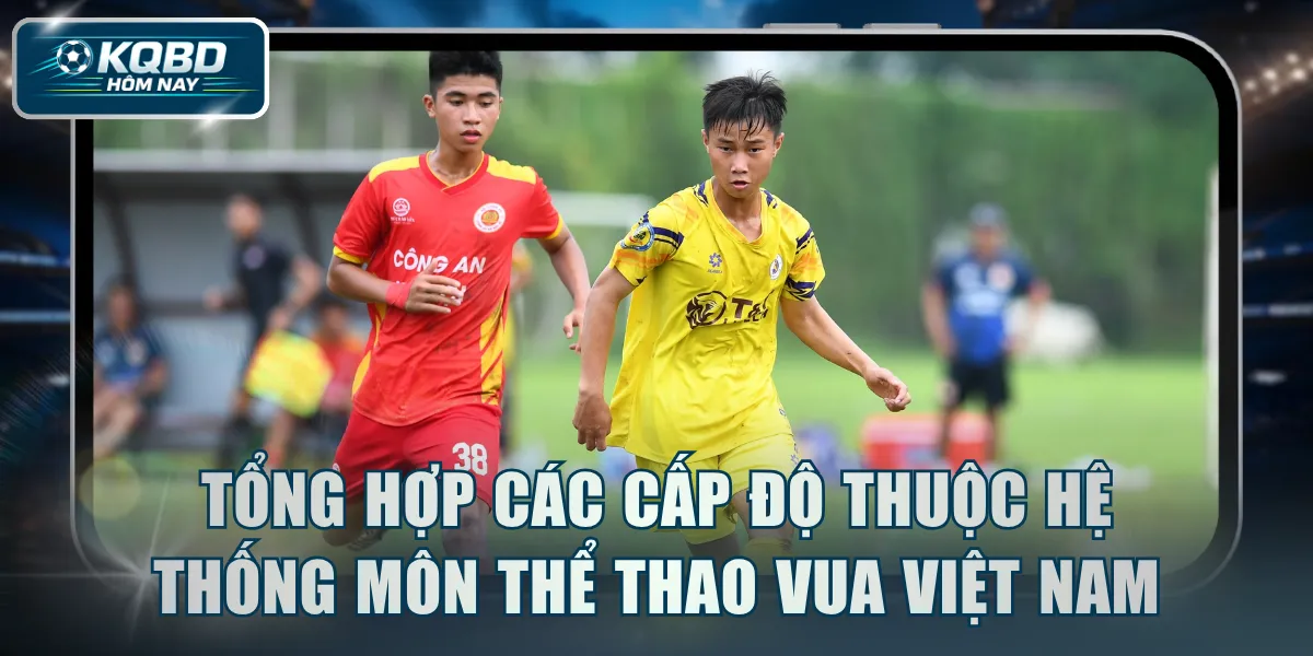 Tổng hợp các cấp độ thuộc hệ thống môn thể thao vua Việt Nam