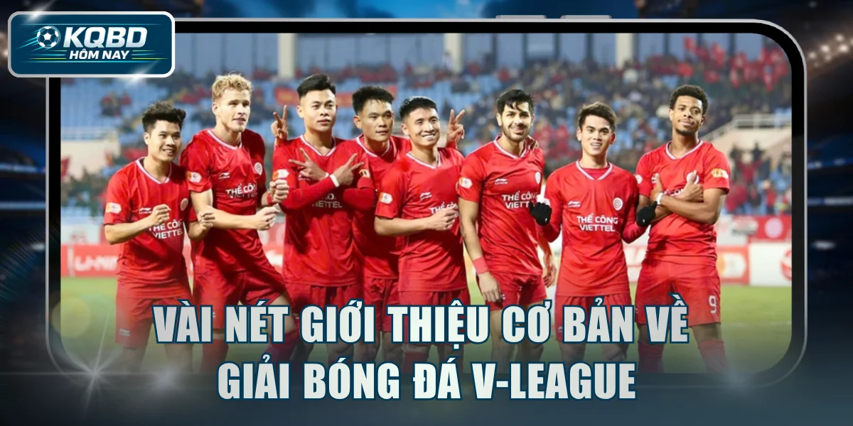 Vài nét giới thiệu cơ bản về giải bóng đá V-League